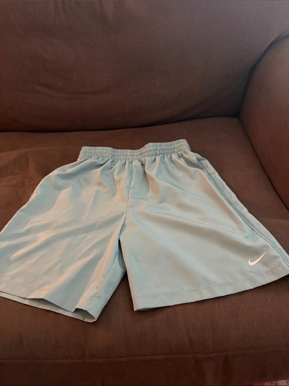 Nike Men’s Pale Blue Athletic Shorts